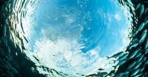 Via aardse begrenzingen terug naar eenheidsbewustzijn