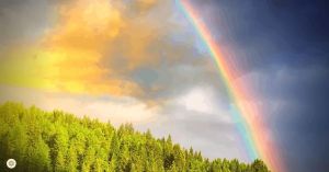 Frequency shifts en het helende midden