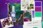 Violet Invert